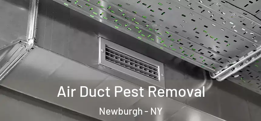  Air Duct Pest Removal Newburgh - NY