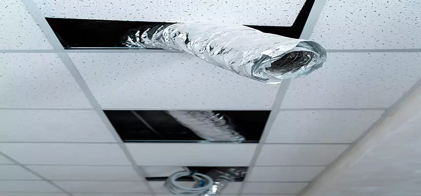 Our Air Duct Pet Hair Removal Services in Newburgh, NY