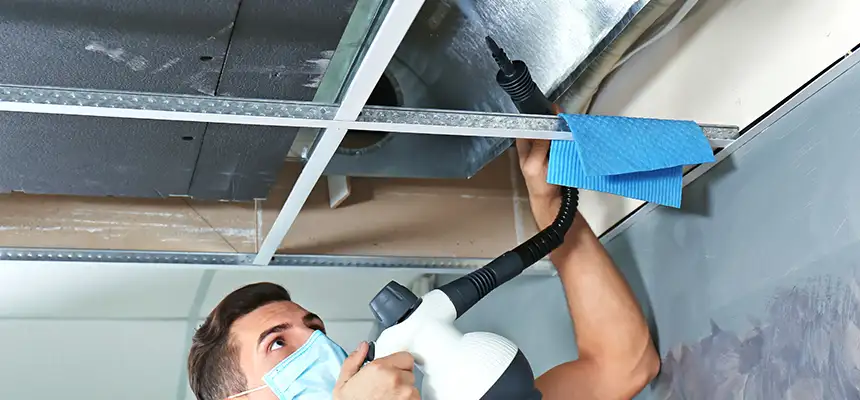 Our Air Duct Rodent Removal Services in Newburgh, NY