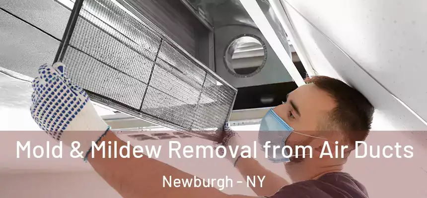 Mold & Mildew Removal from Air Ducts Newburgh - NY