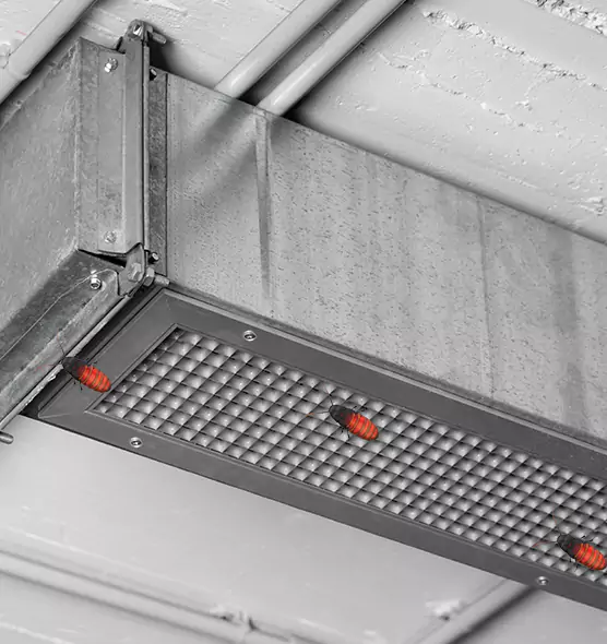 About Air Duct Cockroach Removal in Newburgh, NY