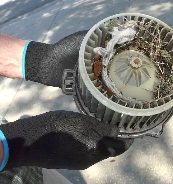 About Air Duct Rat Removal in Newburgh, NY